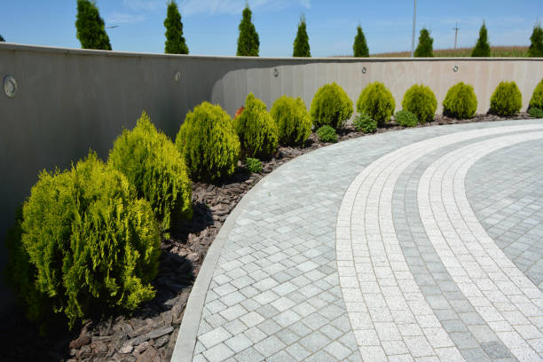Best Professional Driveway Pavers  in Montana City, MT